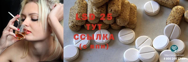 сатива Абинск