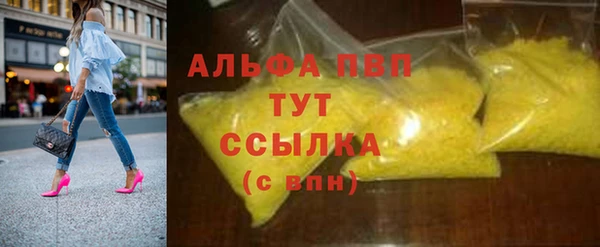 трава Няндома
