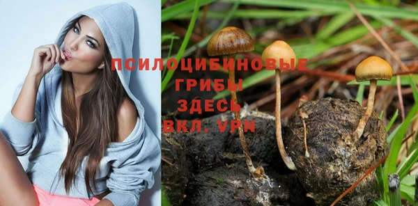 трава Няндома
