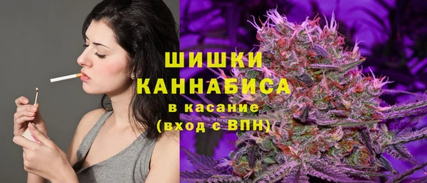 сатива Абинск