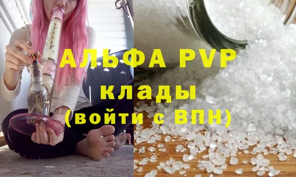 сатива Абинск