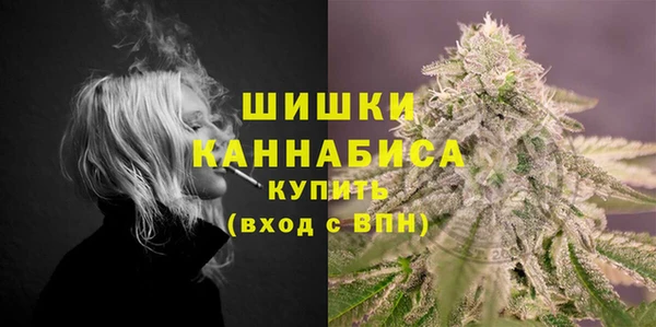 трава Няндома