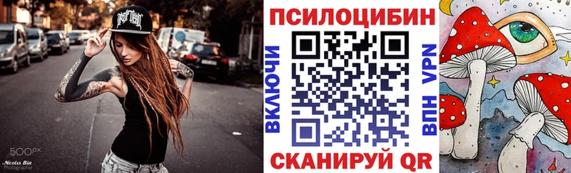 MEGA вход Ермолино Псилоцибиновые грибы Psilocybe